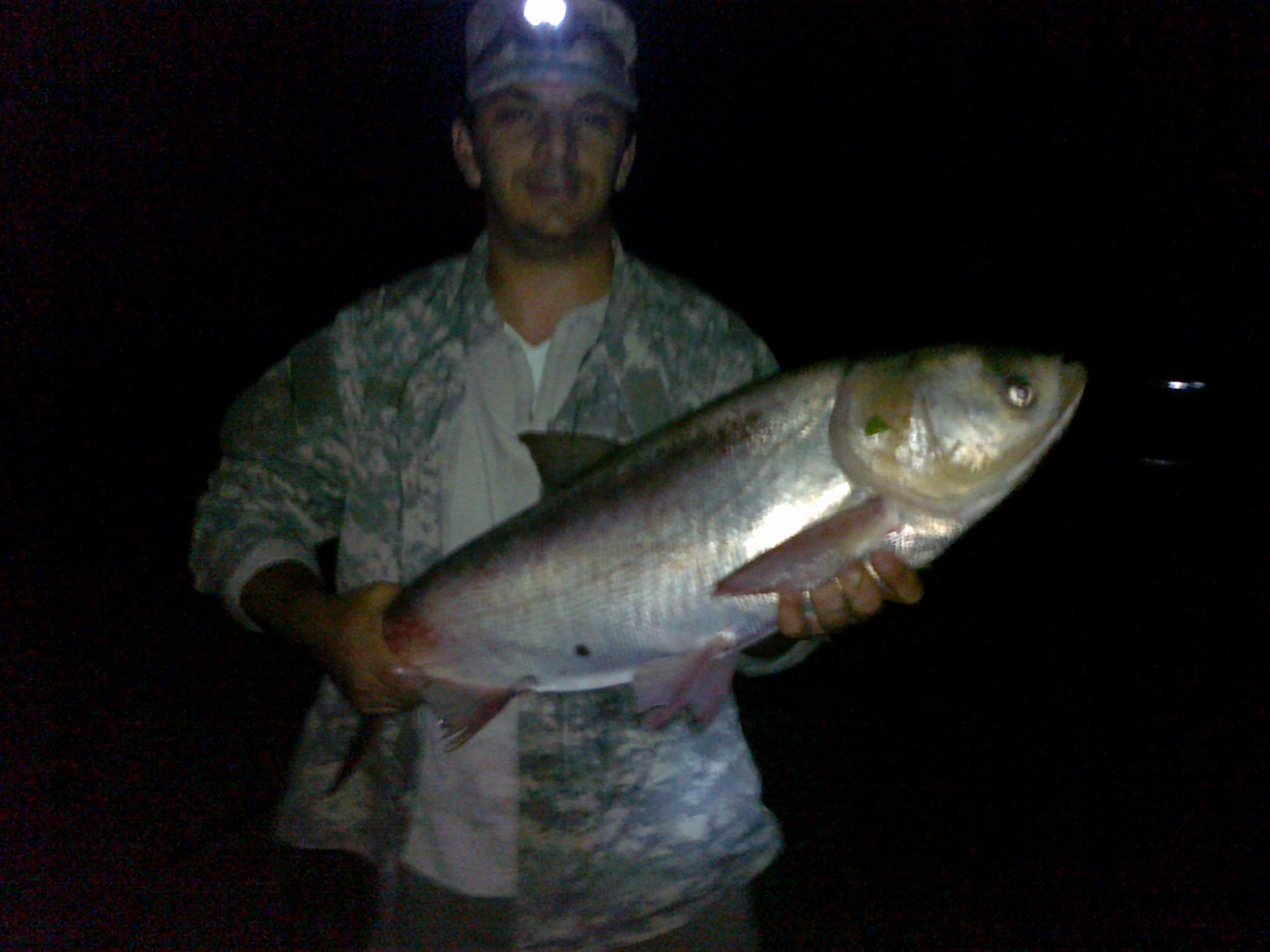 pescuit - 09082011634.jpg